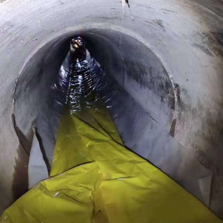 蕉岭管道光固化修复